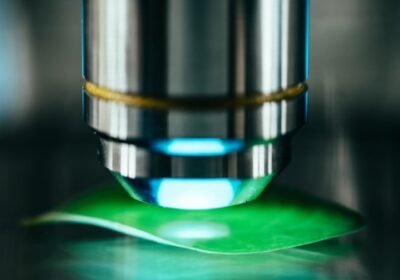 Путин оценил достижения России в сфере биоэкономики